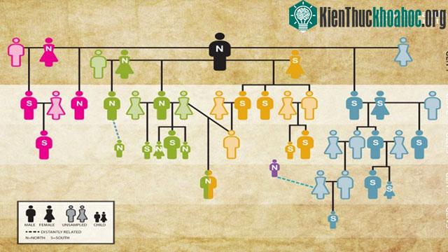 Các mẫu DNA trong lăng mộ thời đồ đá