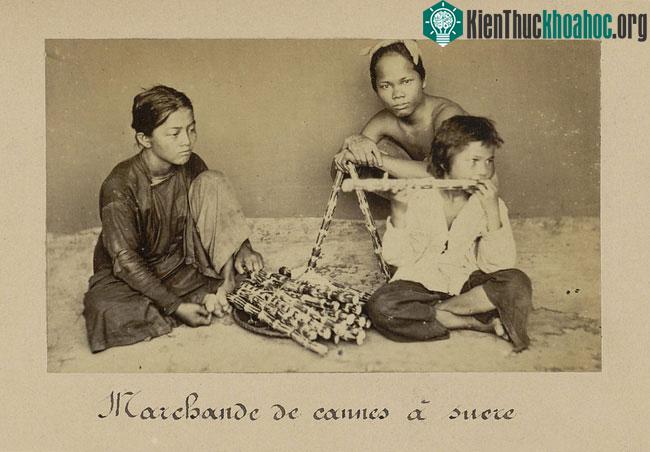 Những đứa trẻ bán mía mưu sinh.