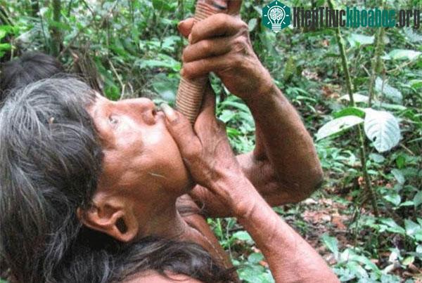 Bộ lạc bí ẩn ở châu Phi - nơi người dân ăn muỗi và hoàn toàn như người bị câm ảnh 1