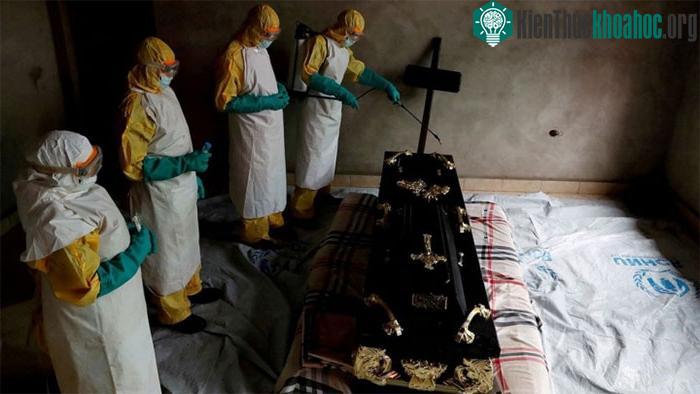 Những virus gây bệnh dịch chết người từng "biến mất không dấu vết" ảnh 2