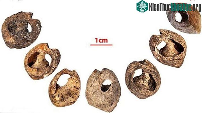 Mỗi hạt có kích thước khoảng 1 cm và một lỗ tròn