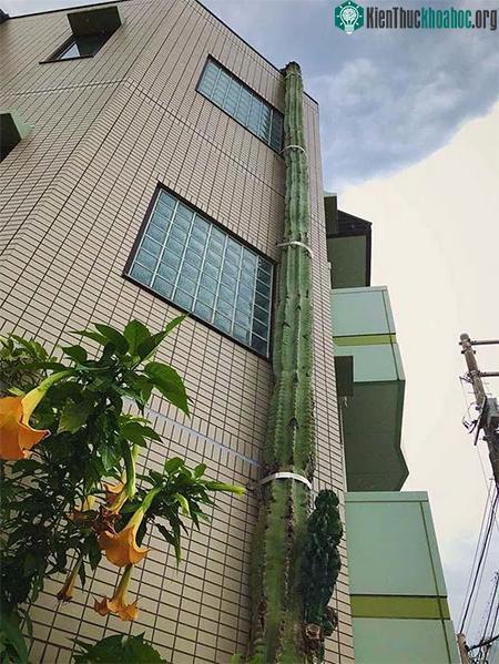 Bức ảnh đã thu hút hơn 12.000 lượt chia sẻ và gần 40.000 lượt thích.&nbsp;