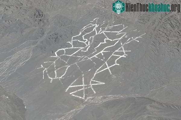 Hình trên sa mạc Gobi