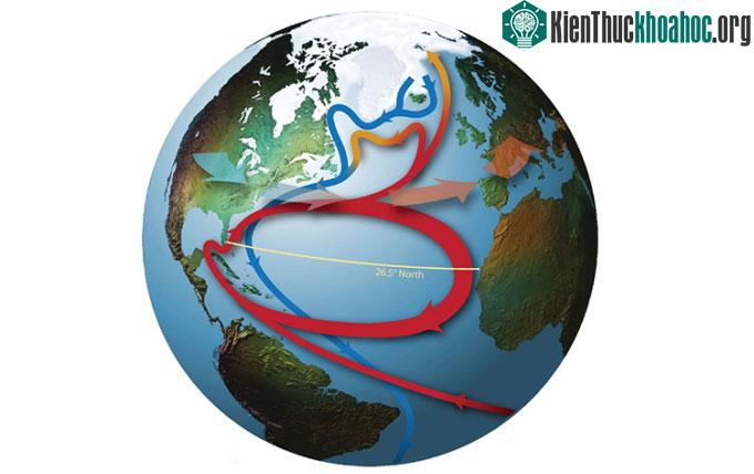 Mô phỏng Hoàn lưu đảo lộn kinh tuyến Đại Tây Dương (AMOC).