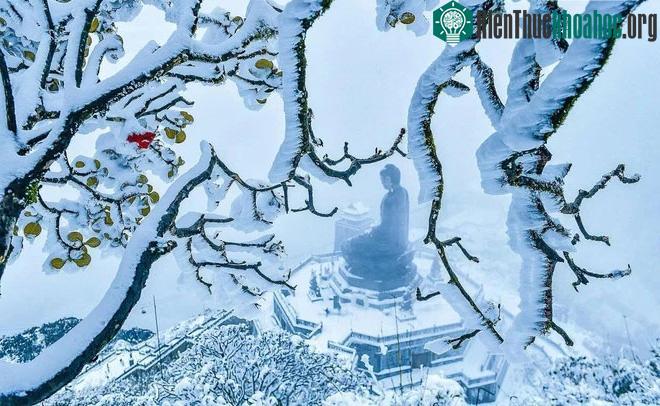 Tuyết bất ngờ phủ trắng đỉnh Fansipan ngày cuối tuần, sắp tới nhiệt độ sẽ giảm rất sâu ảnh 2
