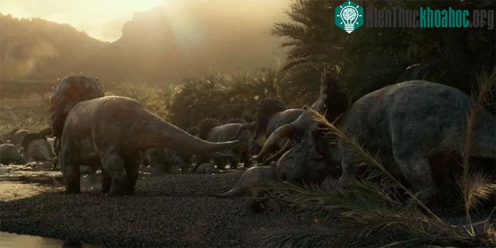 Khủng long Nasutoceratops