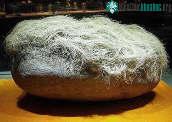 Tảng đá mọc tóc trắng kỳ lạ.