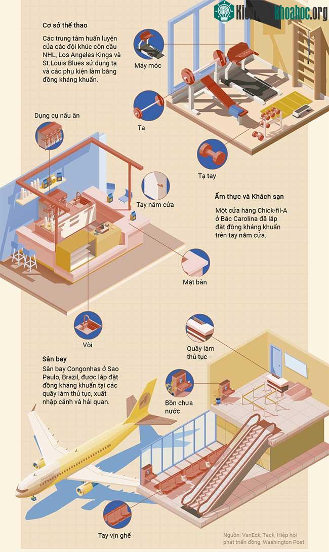 Đồng - Một trong số ít kim loại có khả năng kháng khuẩn ảnh 3