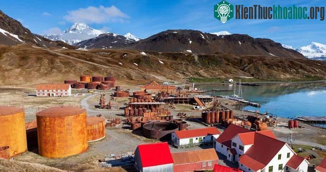 Grytviken là một trạm săn cá voi bị bỏ hoang