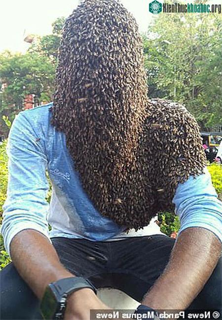 Nature M.S cho biết, ong là người bạn tốt nhất cua mình.