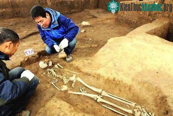 Tể tướng Lưu Gù chẳng hề thấp bé mà thậm chí còn cao lớn đặc biệt