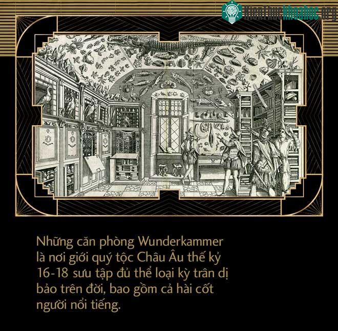 Bí ẩn vụ trộm hộp sọ René Descartes: Hài cốt của ông đã ở đâu sau hơn 300 năm lưu lạc? ảnh 4