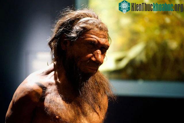 Người Neanderthal