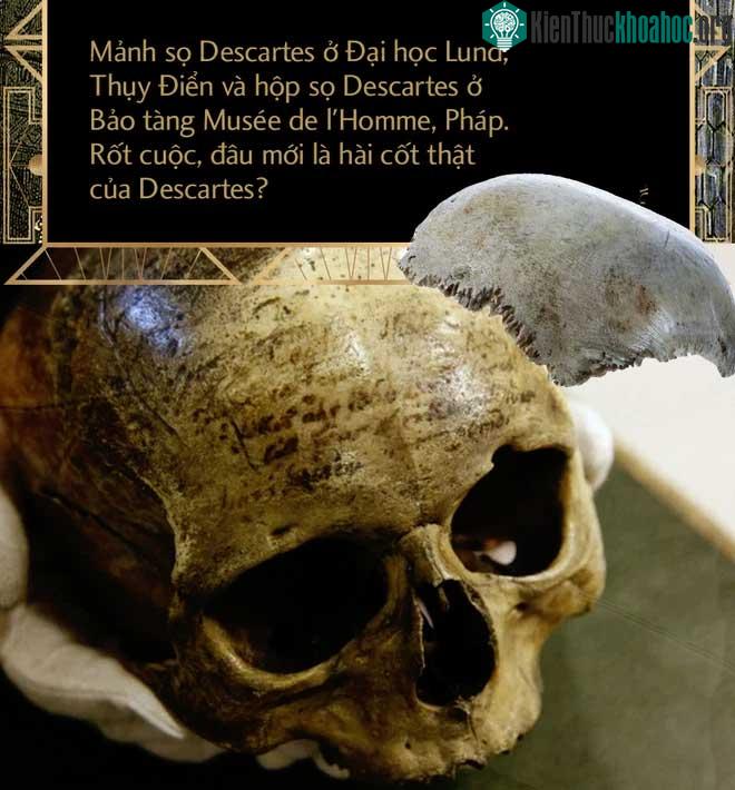 Bí ẩn vụ trộm hộp sọ René Descartes: Hài cốt của ông đã ở đâu sau hơn 300 năm lưu lạc? ảnh 6
