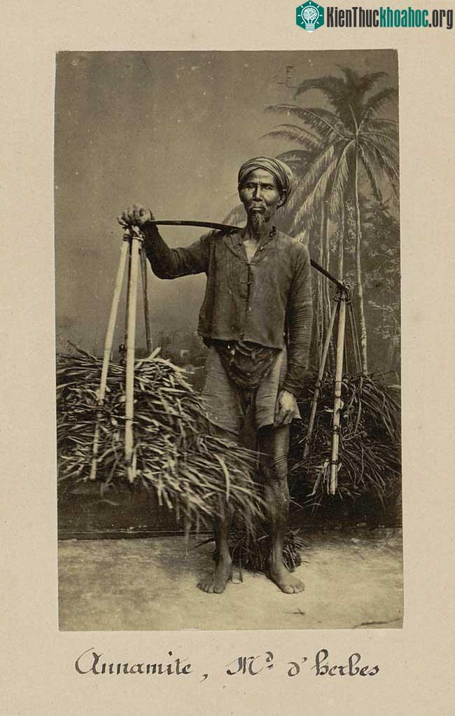 Cụ ông gánh rau.
