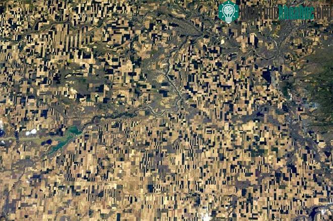Bức ảnh ngày 3/6 chụp một cánh đồng nghệ thuật (crop art) tại Canada
