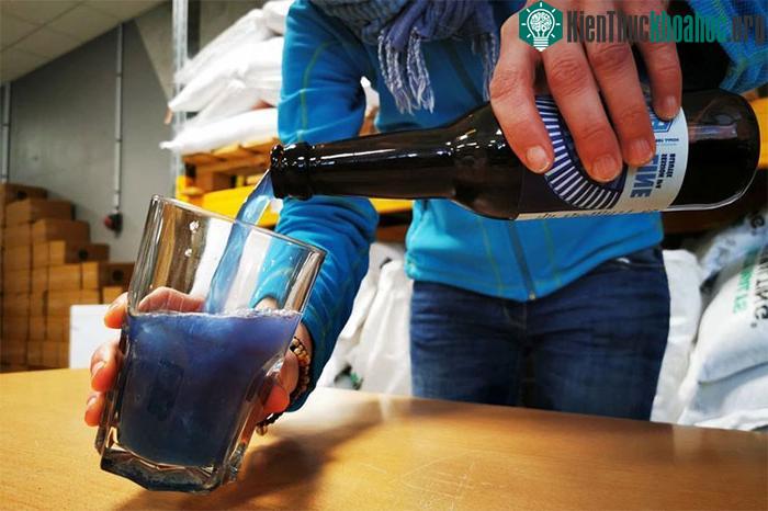 Điều đặc biệt trong cốc bia màu xanh lam độc nhất vô nhị.