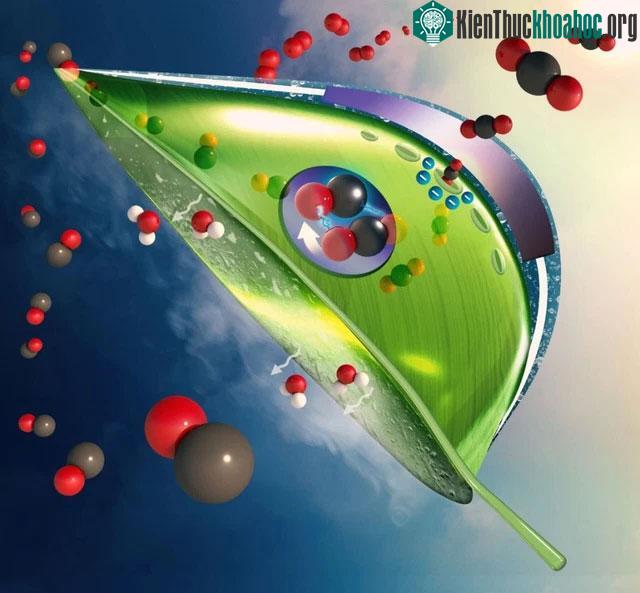 thu giữ CO2 từ các nguồn CO2 loãng hơn như không khí, khí thải