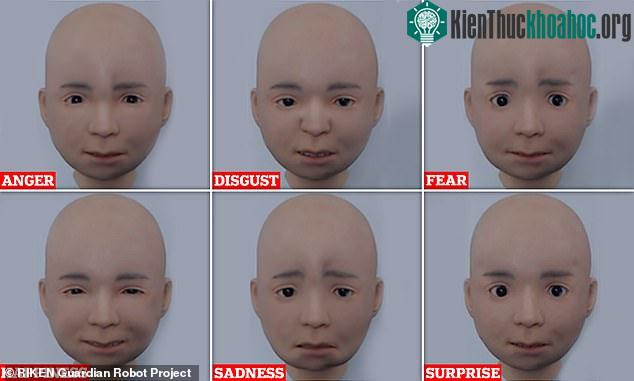 Nikola - Robot "nhí" có thể bắt chước 6 biểu cảm giống hệt người thật ảnh 0