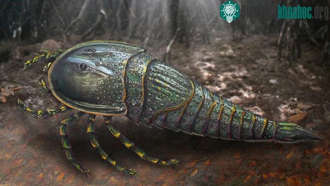 Mô phỏng bọ cạp biển Woodwardopterus freemanorum.