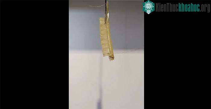 Nhóm chuyên gia đại học Cambridge phát triển vật liệu tự phục hồi&nbsp;làm từ muối và gelatine ảnh 0
