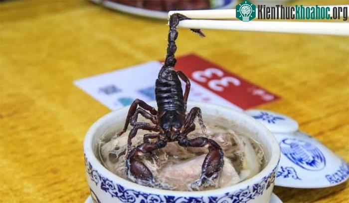 Súp bọ cạp