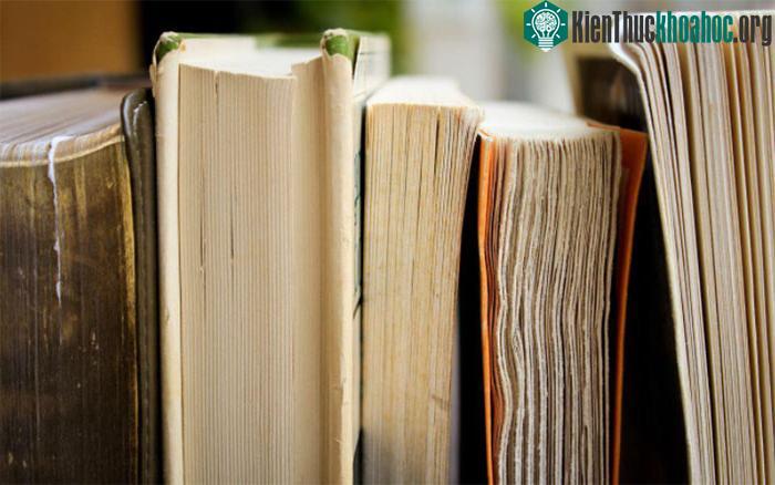 Nếu không có sự can thiệp, khả năng ngôn ngữ biến mất sẽ tăng cao.