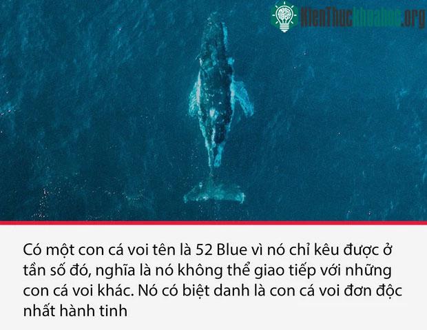 Top 15 sự thật thú vị nhưng vô cùng ám ảnh, thể hiện một góc khác của thực tại chúng ta sống ảnh 0