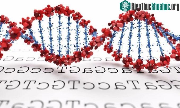Kỹ thuật mới giúp rút ngắn đáng kể thời gian giải trình tự hệ gene.