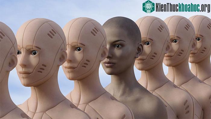 Da điện tử mới gọn nhẹ, dễ xử lý hơn.