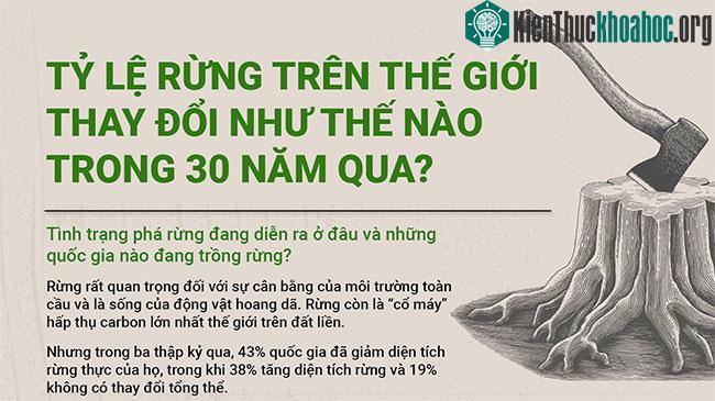 Tỷ lệ rừng trên thế giới thay đổi như thế nào trong 30 năm qua?