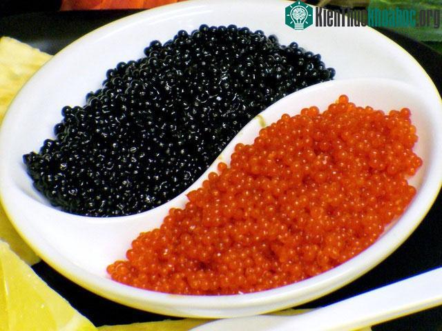 Thứ từng bị vứt bỏ làm đồ ăn cho lợn thành đặc sản được nhà giàu săn đón ảnh 0