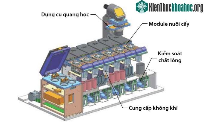 Tử cung nhân tạo với bảo mẫu AI.