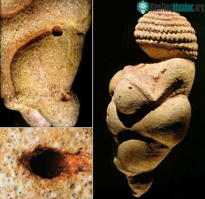 Thần vệ nữ Willendorf