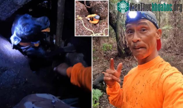 Chú chó rơi xuống khe nứt trên núi lửa Kilauea, đảo Hilo.