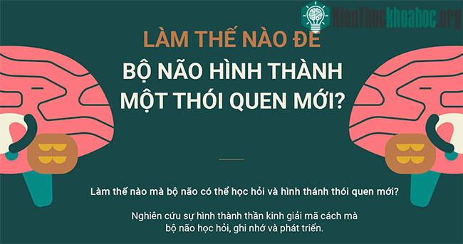 Làm thế nào để bộ não hình thành một thói quen mới? ảnh 0