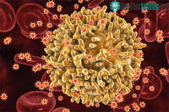 Phát hiện biến thể mới "siêu lây nhiễm" của HIV, dễ thành AIDS hơn ảnh 1