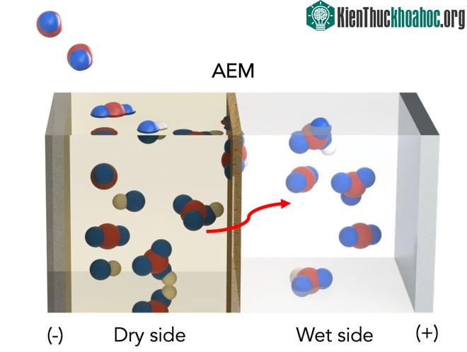 Lá nhân tạo hút khí CO2 của Mỹ: Tiêu thụ điện tương đương bóng đèn LED nhưng hiệu quả cực cao ảnh 1