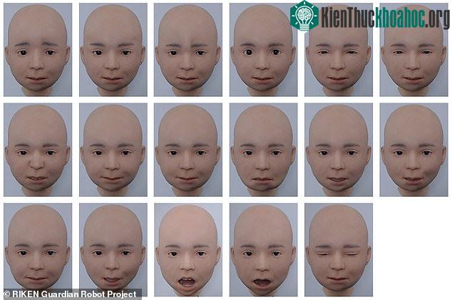 Nikola - Robot "nhí" có thể bắt chước 6 biểu cảm giống hệt người thật ảnh 1