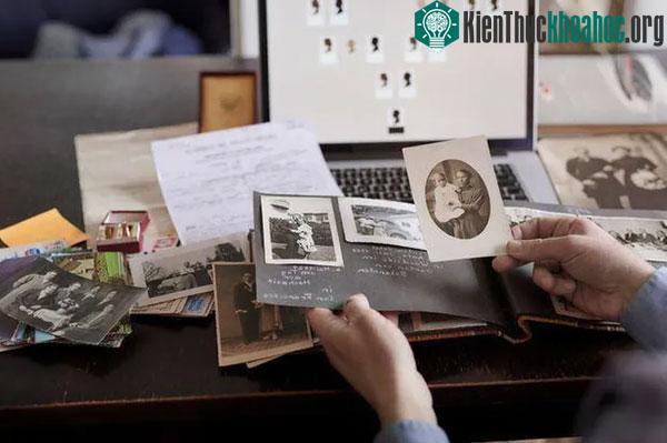Phả hệ này giúp chúng tôi xem trình tự di truyền của mỗi người liên quan với nhau như thế nào