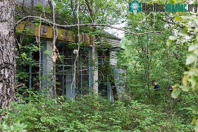 Bức xạ của Chernobyl tăng gấp 20 lần sau khi quân đội Nga chiếm giữ: Chuyên gia lo lắng! ảnh 1
