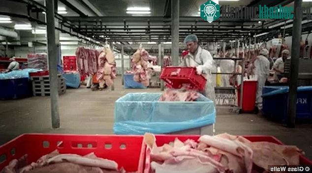 Một khi biết kẹo dẻo được làm ra thế nào, bạn sẽ không muốn ăn chúng nữa ảnh 1