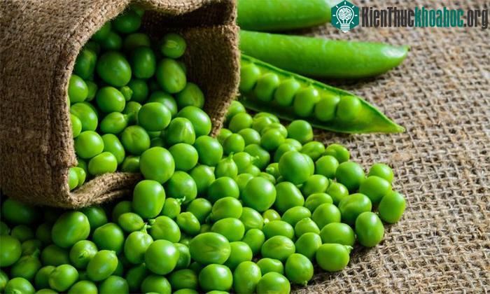 Một cốc đậu Hà Lan còn cung cấp 9 gram protein và khoảng 1/3 lượng chất xơ.