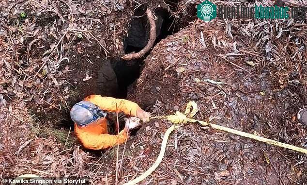 Kawika Singson đi xuống khe nứt hẹp để cứu chú chó Malka.