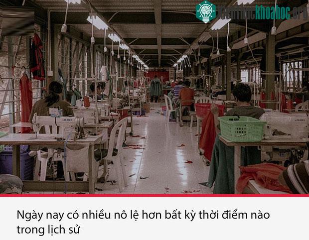 Top 15 sự thật thú vị nhưng vô cùng ám ảnh, thể hiện một góc khác của thực tại chúng ta sống ảnh 10
