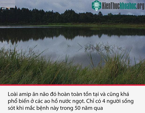 Top 15 sự thật thú vị nhưng vô cùng ám ảnh, thể hiện một góc khác của thực tại chúng ta sống ảnh 13