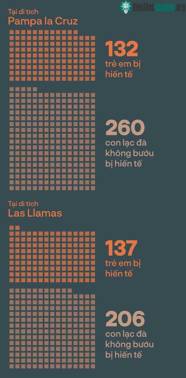 Bằng chứng khảo cổ hé lộ nghi thức hiến tế khủng khiếp nhất trong lịch sử nhân loại ảnh 17