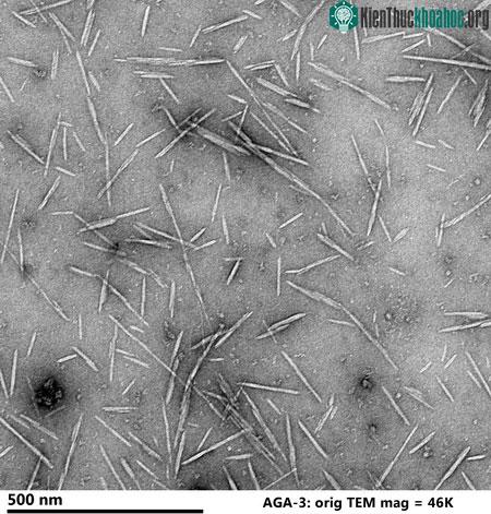 Chất gỗ lignin chứa tinh thể nano cellulose.