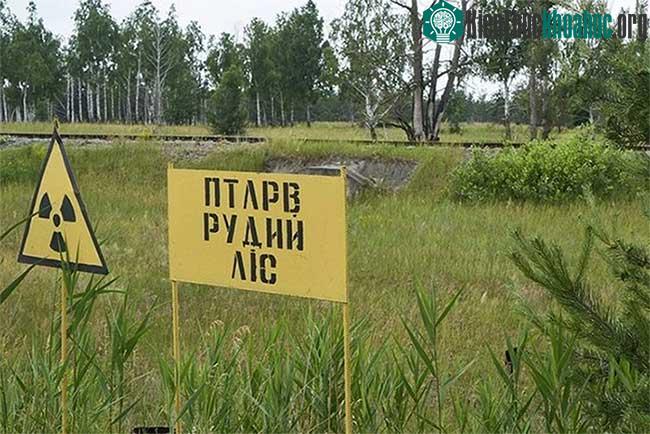 Lối vào thị trấn Pripyat.