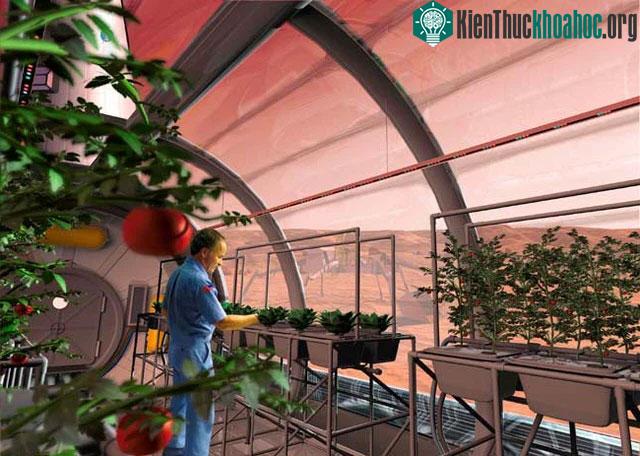 "Người sao Hỏa" trong tương lai sẽ phải ăn thuần chay ảnh 2